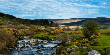 Wicklow Mountains National Park 